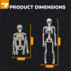 4 Pcs Halloween Skeleton 16" Posable Skeleton Decor, Full Body Posable Joints Outdoor Skeletons, Halloween Skeletons Decorations Outdoor Indoor